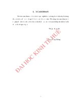 ĐÁNH GIÁ HIỆU QUẢ các dự án đầu tư tại KHU KINH tế CHÂN mây – LĂNG cô, GIAI đoạn 2006 2010 