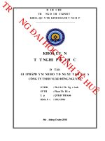 Phân tích thực trạng và đề ra giải pháp đẩy mạnh hoạt động xuất khẩu gạch đá ốp lát, trang trí của công ty TNHH VLXD đông nguyên 