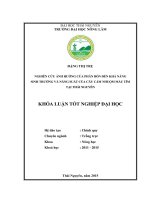 Nghiên cứu ảnh hưởng của phân bón đến khả năng sinh trưởng và năng suất của cây cẩm nhuộm màu tím tại thái nguyên 