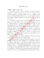 HOÀN THIỆN CHIẾN lược THU hút KHÁCH HÀNG tại NGÂN HÀNG NÔNG NGHIỆP và PHÁT TRIỂN NÔNG THÔN VIỆT NAM   CHI NHÁNH THỊ xã HƯƠNG THỦY, TỈNH THỪA THIÊN HUẾ 