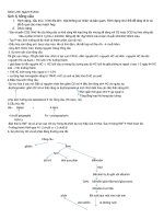 sinh lý hồng cầu, tiểu cầu, bạch cầu, thiếu máu