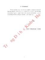Giải pháp đa dạng hóa các loại hình dịch vụ tại ngân hàng TMCP bắc á  chi nhánh thừa thiên huế 