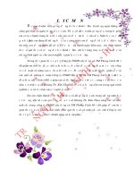 Kế toán doanh thu và xác định kết quả kinh doanh tại công ty TNHH xây dựng và thương mại phong cách mới 