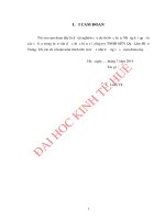 Hoàn thiện chiến lược marketing mix tại công ty trách nhiệm hữu hạn một thành viên quế lâm miền trung 