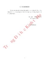 Đánh giá mức độ hài lòng khách hàng đối với sản phẩm sá xị của công ty cổ phần nước giải khát chương dượng tại thành phố mỹ tho tỉnh tiền giang 