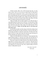 Tiểu luận nghiên cứu giải pháp nâng cao chất lượng gạch silicat không nung 