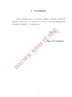CỔ PHẦN hóa DOANH NGHIỆP NHÀ nước TRÊN địa bàn THÀNH PHỐ ĐỒNG hới, TỈNH QUẢNG BÌNH 