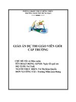 Giáo án dự thi giáo viên giỏi chủ đề tết và mùa xuân