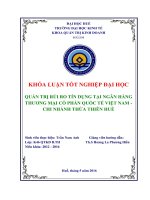 Quản trị rủi ro tín dụng tại ngân hàng TMCP quốc tế việt nam (VIB)   chi nhánh thừa thiên huế 