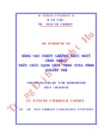 Nâng cao chất lượng đội ngũ công chức tại các CQCM cấp tỉnh của tỉnh quảng trị 