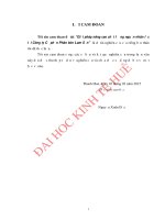 Giải pháp nâng cao chất lượng nguồn nhân lực tại công ty cổ phần phân bón lam sơn 