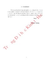 Phân tích các nhân tố tạo động lực làm việc cho đội ngũ công chức cấp xã ở huyện đakrông, tỉnh quảng trị 