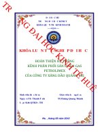 Hoàn thiện hệ thống kênh phân phối sản phẩm gas petrolimex của công ty xăng dầu quảng trị