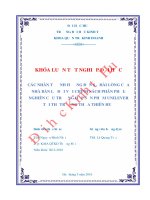 Các nhân tố ảnh hưởng đến sự hài lòng của nhà bán lẻ đối với chính sách phân phối Nghiên cứu trường hợp sản phẩm Unilever tại thị trường Thừa Thiên Huế