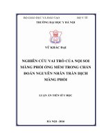 Nghiên cứu vai trò của nội soi màng phổi ống mềm trong chẩn đoán nguyên nhân tràn dịch màng phổi (FULL TEXT)