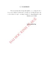 Nâng cao chỉ số năng lực cạnh tranh cấp tỉnh của tỉnh hà tĩnh 