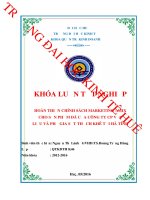 Hoàn thiện chính sách marketing mix cho sản phẩm đá của công ty cổ phần vật liệu và phụ gia sắt thạch khê tại hà tĩnh 