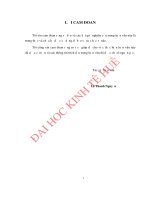 Hoàn thiện chính sách marketing cho sản phẩm giày da tại công ty trách nhiệm hữu hạn sản xuất   thương mại   dịch vụ đăng tuấn 