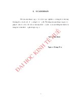 NÂNG CAO HIỆU QUẢ sử DỤNG vốn KINH DOANH các DOANH NGHIỆP THƯƠNG mại TRÊN địa bàn TỈNH THỪA THIÊN HUẾ 