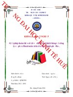 Giải pháp hoàn thiện dịch vụ chăm sóc khách hàng tại công ty cố phần Huetronics trên địa bàn thành phố Huế