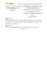 Đề thi học kì I môn Ngữ Văn lớp 10 cơ bản dành cho các lớp A (Đề 01) - THPT Chu Văn An (2012 - 2013)