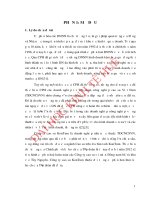 Giải pháp xác định giá trị vườn cây cao su để tiến hành cổ phần hoá doanh nghiệp nhà nước tại công ty cao su kontum 
