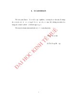 Giải pháp nâng cao mức tiêu thụ bia của công ty TNHH bia huế trên địa bàn tỉnh thừa thiên huế 