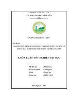 So sánh khả năng sinh trưởng và phát triển của một số giống hoa Tulip nhập nội trồng tại Thái Nguyên