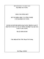 Đánh giá rủi ro kim loại nặng trong gạo ở một số vùng sản xuất nông nghiệp tại quảng nam và đà nẵng 