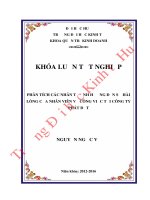 Phân tích các nhân tố ảnh hưởng đến sự hài lòng về công việc tại công ty phát đạt 
