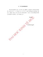 HẠN CHẾ rủi RO tín DỤNG TRONG HOẠT ĐỘNG CHO VAY đầu tư tại NGÂN HÀNG PHÁT TRIỂN VIỆT NAM – CHI NHÁNH THỪA THIÊN HUẾ 