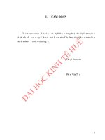 PHÁT TRIỂN KINH tế TRANG TRẠI bền VỮNG ở HUYỆN NAM ĐÔNG, TỈNH THỪA THIÊN HUẾ HIỆN NAY 