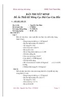 Tiểu luận thiết kế móng cọc đài cao của bến 