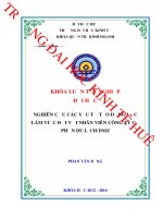 Nghiên cứu các yếu tố tạo động lực làm việc đối với nhân viên công ty Cổ phần du lịch DMZ