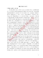 Giải pháp nâng cao năng lực cạnh tranh của ngân hàng đầu tư và phát triển hải vân 