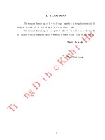 Nâng cao hiệu quả chương trình cho vay giải quyết việc làm tại ngân hàng chính sách xã hội tỉnh quảng trị 