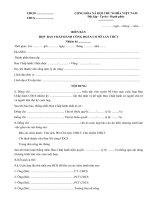 Mẫu biên bản họp ban chấp hành công đoàn cơ sở