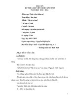 Giáo án mầm non đề tài mẹ ơi tại sao