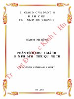 phân tích chuỗi giá trị sản phẩm hồ tiêu quảng trị 