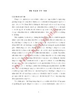 Đánh giá sự hài lòng trong công việc của nhân viên tại đài phát thanh và truyền hình tỉnh thừa thiên huế 