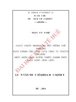 Giải pháp marketing mở rộng thị trường sản phẩm tôm chua của công ty trách nhiệm hữu hạn chế biến thực phẩm đặc sản huế tấn lộc 