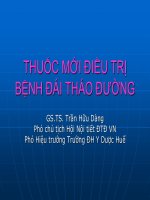 Thuốc mới điều trị đái tháo đường   GS trần hữu dàng 