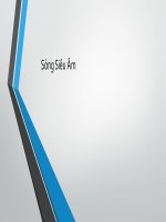 Lý sinh Sóng siêu âm