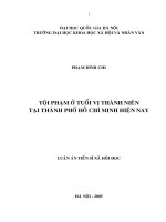 Tội phạm ở tuổi vị thành niên tại thành phố hồ chí minh hiện nay 