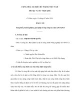 sáng kiến thay đổi giải pháp kỹ thuật thiết kế bằng thảm rọ đá thay cho xử lý hố xói bằng bê tông cốt thép thượng, hạ lưu cống 