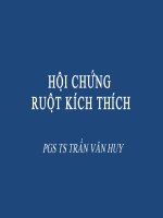 Bài giảng hội chứng ruột kích thích 