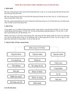 PHÁC đồ CHẨN đoán, điều TRỊ rối LOẠN CƯƠNG DƯƠNG