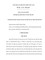 Giải pháp thực hiện chương trình mục tiêu quốc gia xây dựng nông thôn mới 