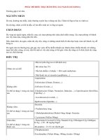 PHÁC đồ điều TRỊ CHÀM ỐNG TAI NGOÀI (ECZEMA)  BỆNH TAI mũi HỌNG