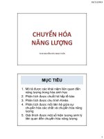 bài giảng chuyển hóa năng lượng 